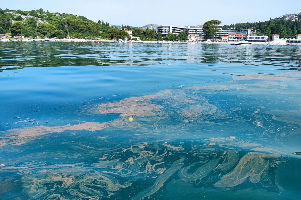 FOTO VIJEST ČITATELJA; Pogledajte kako jutros izgleda more ispred Srebrenog