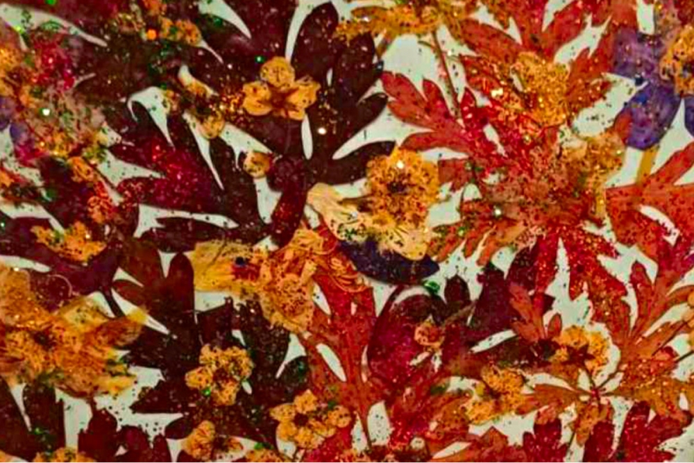 Za Dan žena u DE&Scaron;I u Lazaretima; Izložba slika od pre&scaron;anog cvijeća Mirjane Klinac