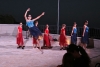 Plesni studio Baletissimo s predstavom o Mihu Pracatu nastupio na Bravinjcu (FOTO)