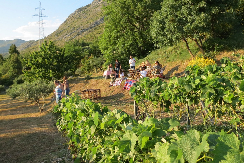 Međunarodna skupina digitalnih nomada uživala u vinogradima i maslinicima u podnožju Malaštice