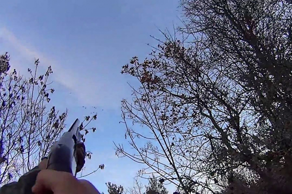 Lovački savez Dubrovačko-neretvanske županije - Poziv na izobrazbu novih lovaca