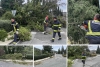 Intervencija župskih vatrogasaca; Jaka bura oborila stablo na raskrižje u Kuparima (FOTO)