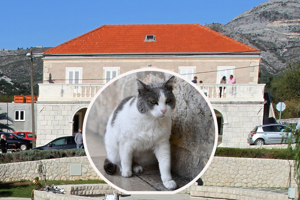 EKSKLUZIVNO; Anastazija seli u Župu jer "tamo nema ustanove u kulturi pa je neće imat tko deložirat"