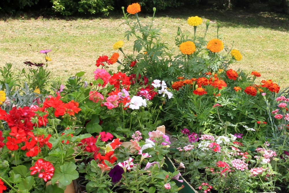 Spomendan ženske borbe za jednaka prava; Svim na&scaron;im čitateljicama čestitamo Međunarodni dan žena