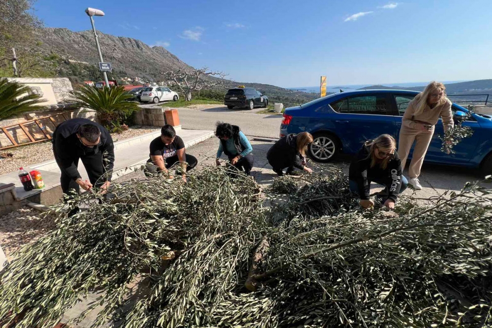 Akcija Zajednice žena Katarina Zrinska Župa dubrovačka; Župske maslinove grančice za Vukovar