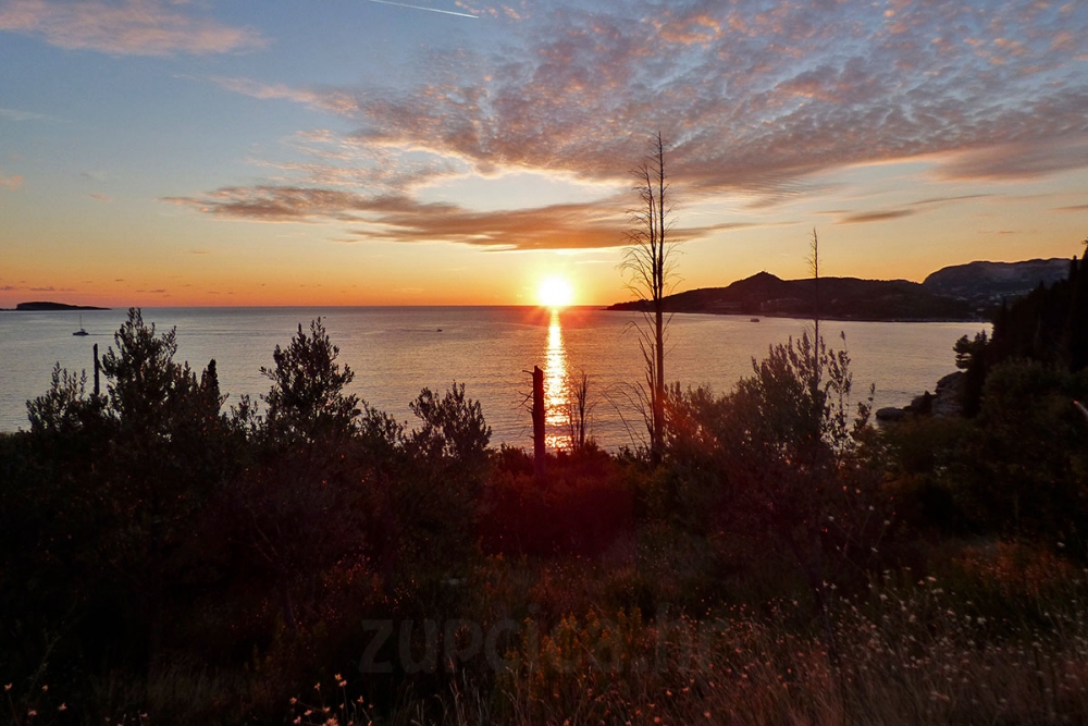 Nazdravlje Vam Stara godina