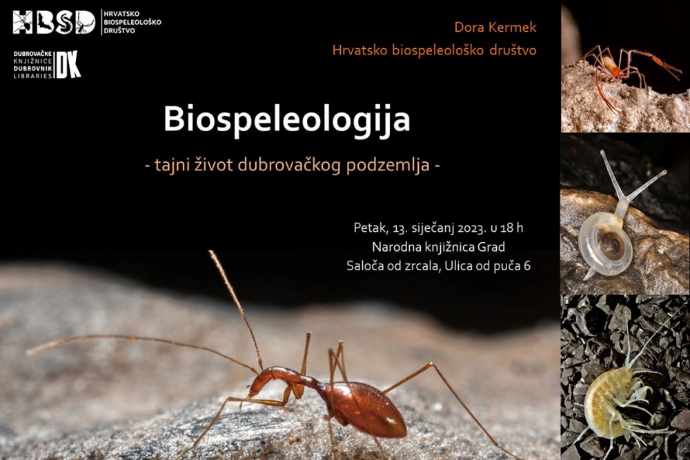 Dubrovačke knjižnice; Predavanje Dore Kermek "Biospeleologija: tajni život dubrovačkog podzemlja"