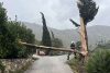 Jako jugo lomi stabla kroz Župu, župski vatrogasci na intervenciji u Čibači i na Krstacu (FOTO)
