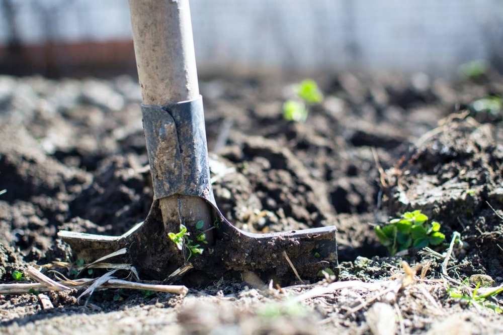 E-savjetovanje prijedlog Zakona o izmjenama i dopunama Zakona o poljoprivrednom zemlji&scaron;tu