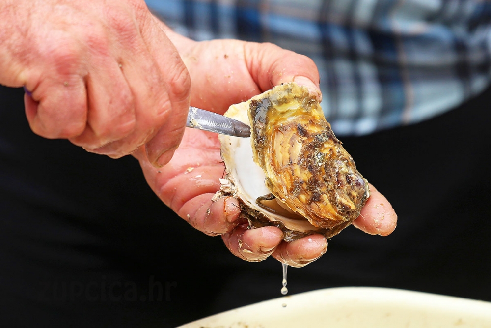 Flag Južni Jadran objavio natječaj za nabavu i opremanje montažnih objekata za prodaju ribe i &scaron;koljka&scaron;a