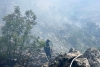 Župski, konavoski i dubrovački vatrogasci gasili požar šume i niskog raslinja u Platu (FOTO)